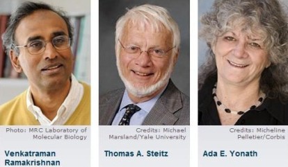 nobel chimie